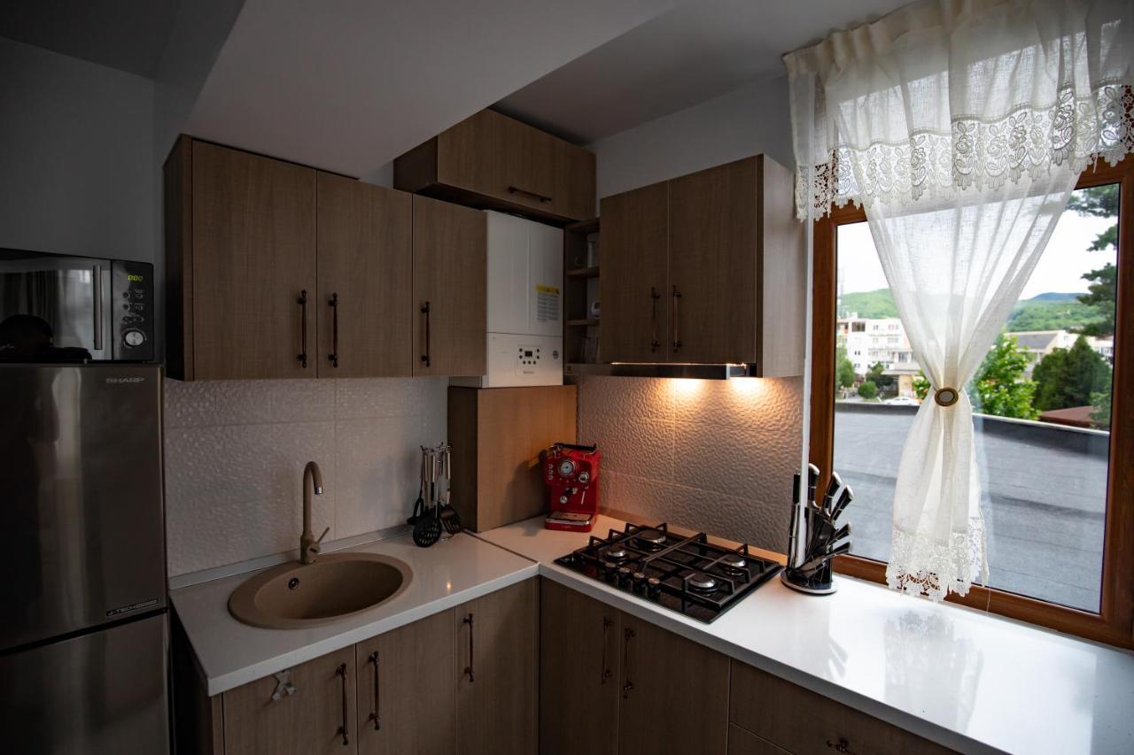 Apartament Natalia Tîrgu Ocna Eksteriør bilde